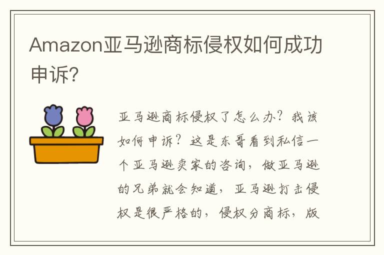 Amazon亚马逊商标侵权如何成功申诉？