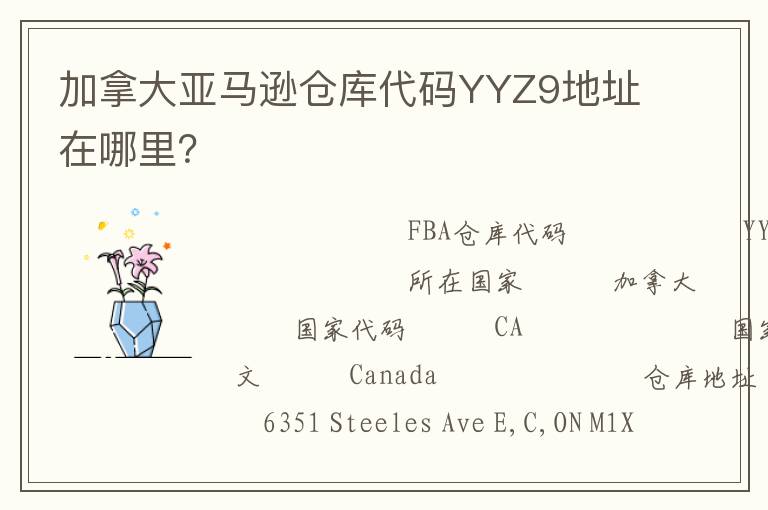 加拿大亚马逊仓库代码YYZ9地址在哪里？